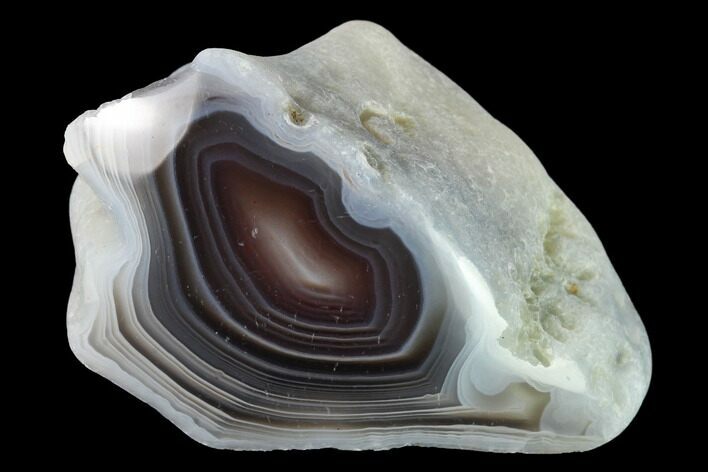 Polished Botswana Agate Nodule - Botswana #146387